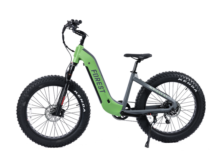 Vertical ridgeway online bike